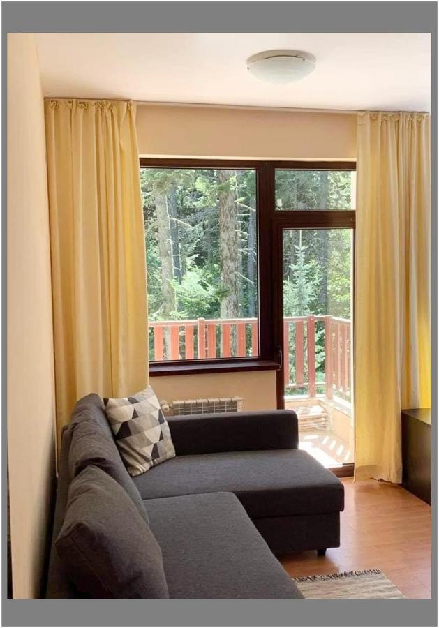 Flora Ski-Slope Studio Apartment Μπόροβετς Εξωτερικό φωτογραφία