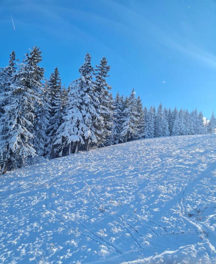 Flora Ski-Slope Studio Apartment Μπόροβετς Εξωτερικό φωτογραφία