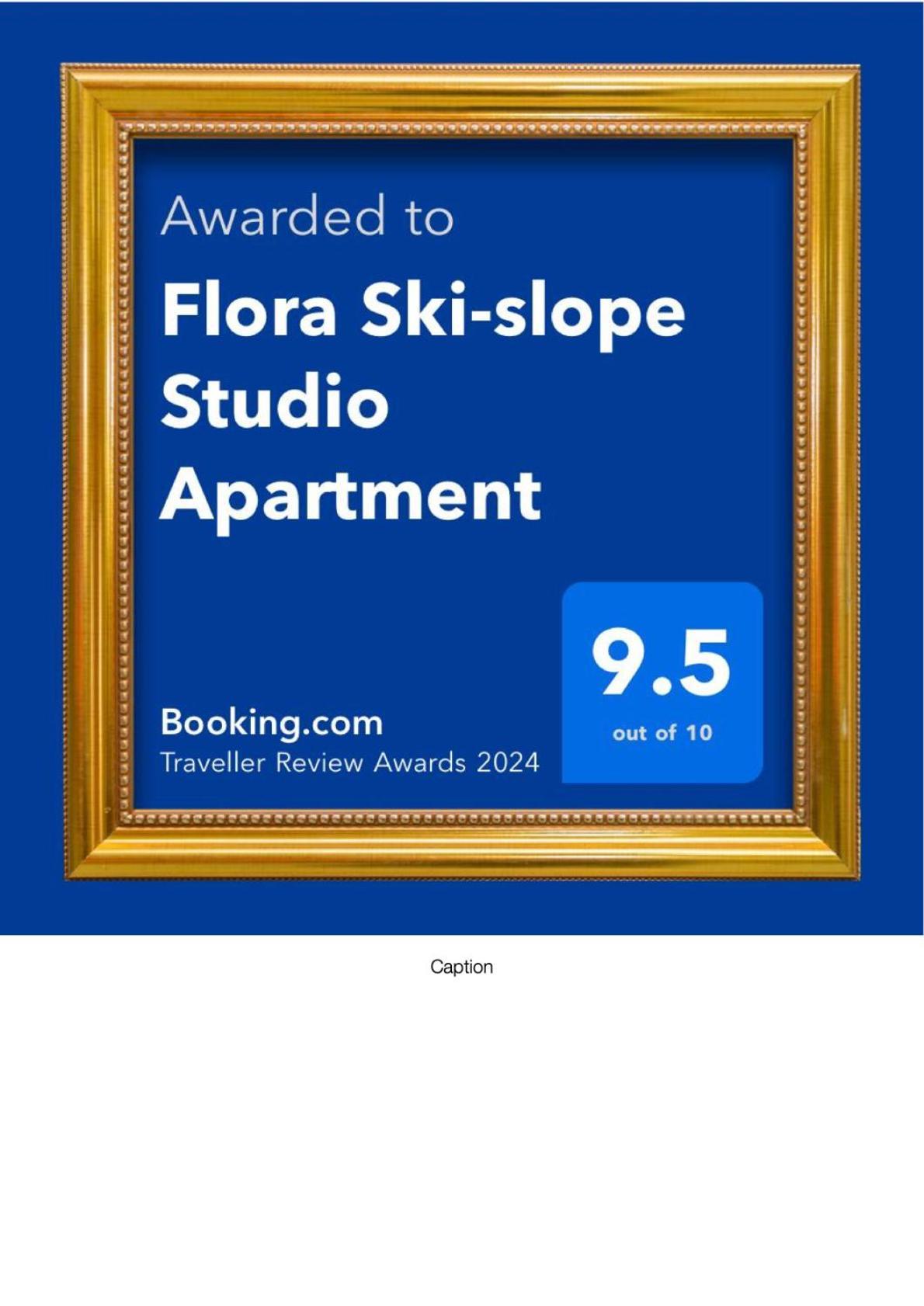 Flora Ski-Slope Studio Apartment Μπόροβετς Εξωτερικό φωτογραφία