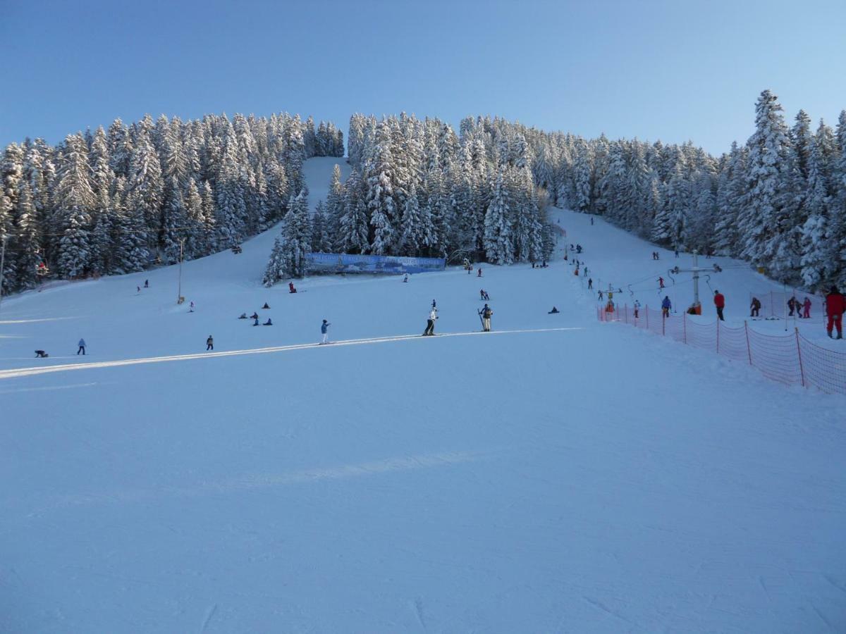 Flora Ski-Slope Studio Apartment Μπόροβετς Εξωτερικό φωτογραφία